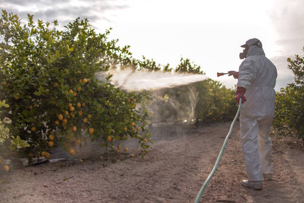 Best Exterminator Services  in Gordo, AL